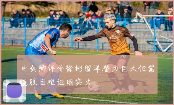 毛剑卿评价徐彬留洋潜力巨大但需克服困难证明实力