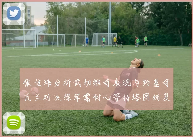 张佳玮分析武切维奇表现与约基奇瓦兰对决绿军需耐心等待塔图姆复出